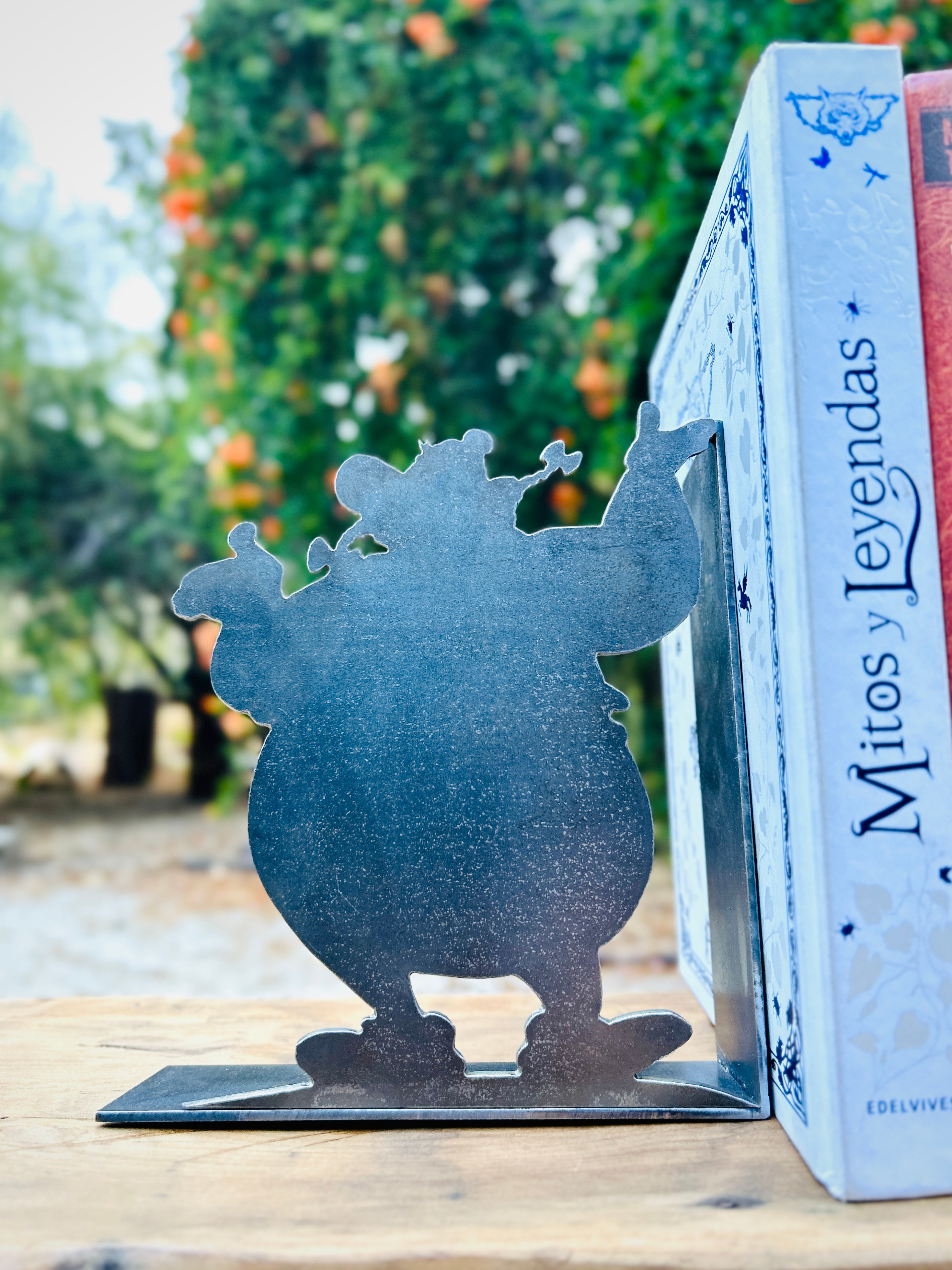 Sujeta Libros