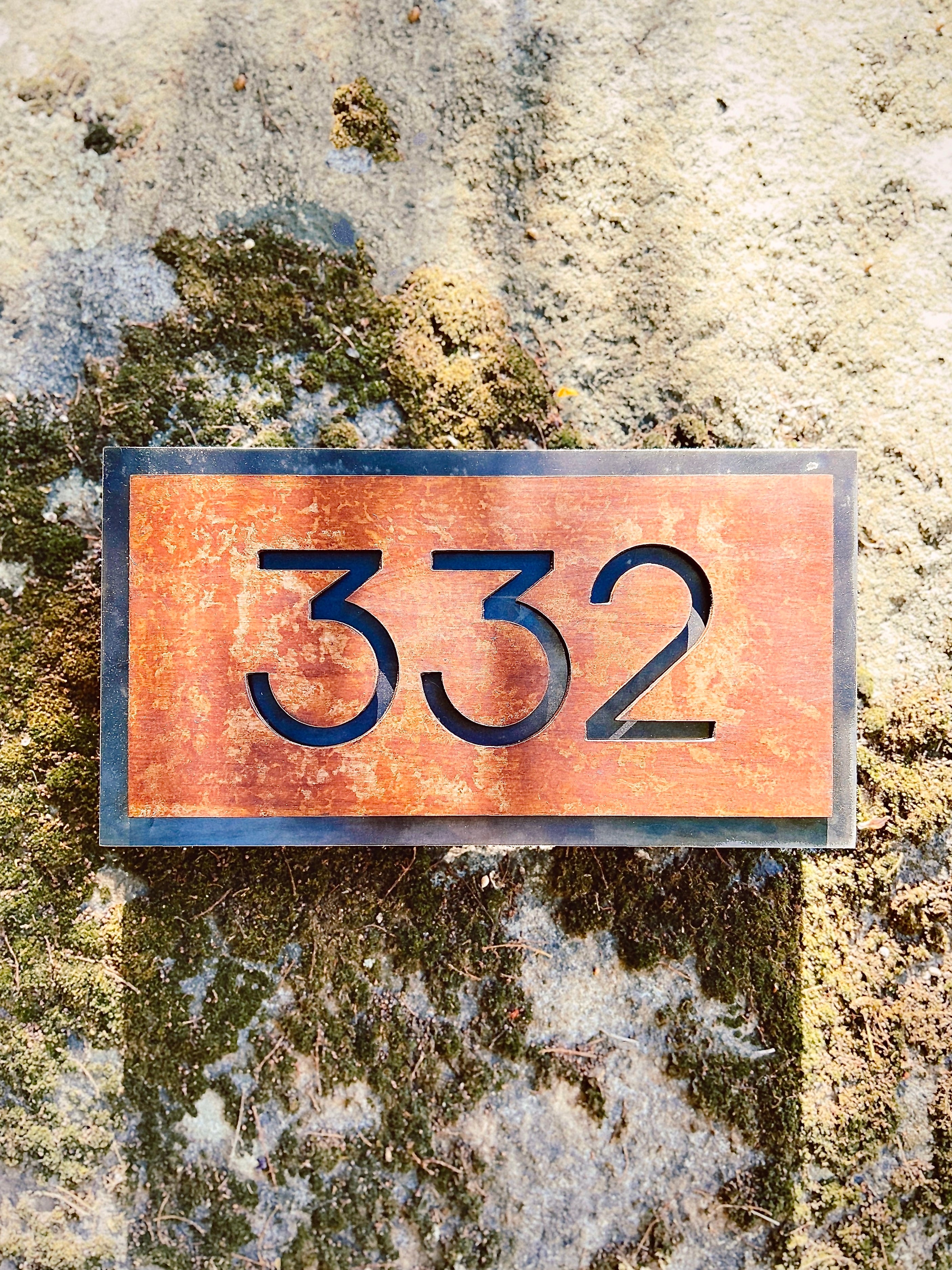 Número Doble Placa de Acero