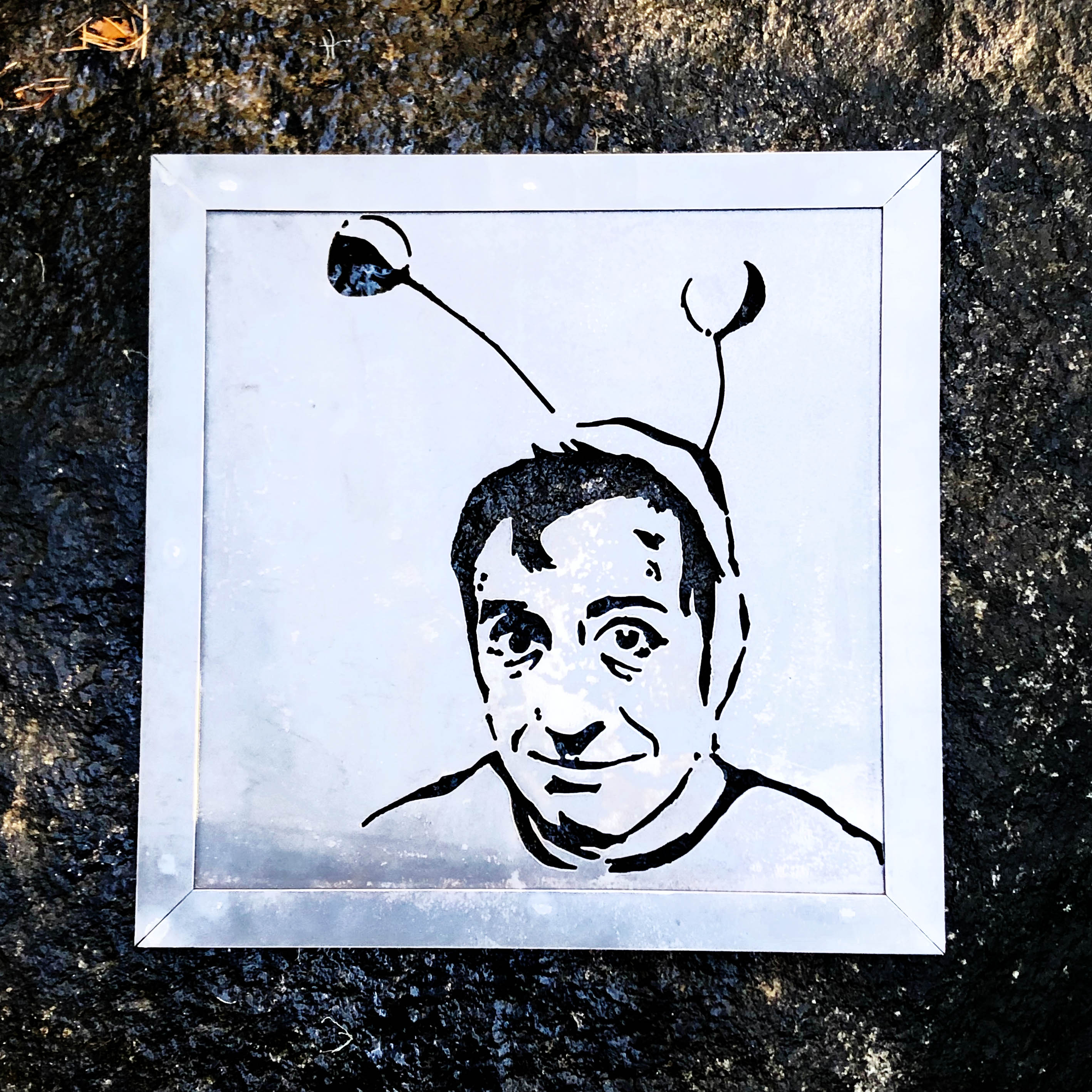 Cuadro Retrato