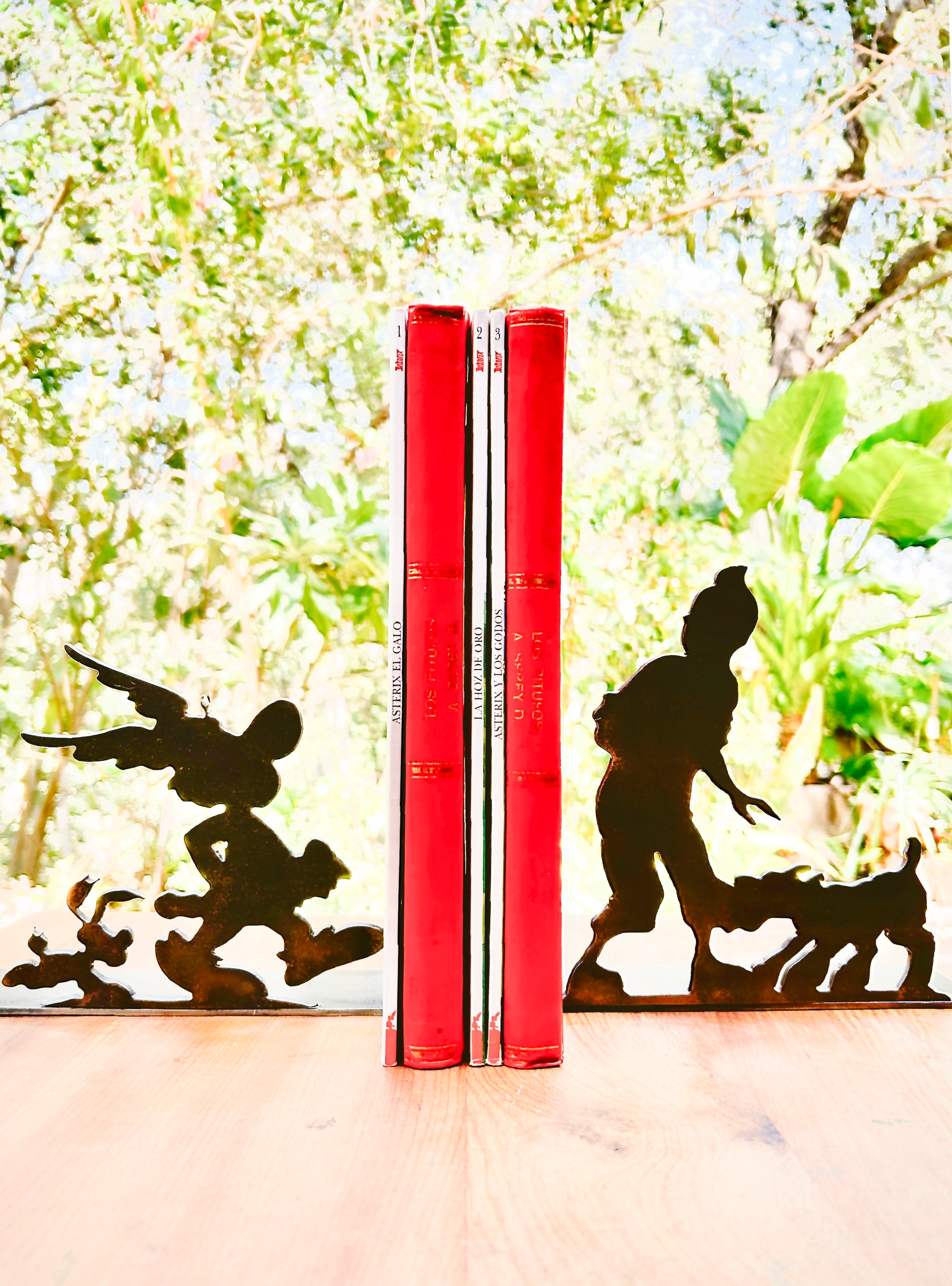 Sujeta Libros